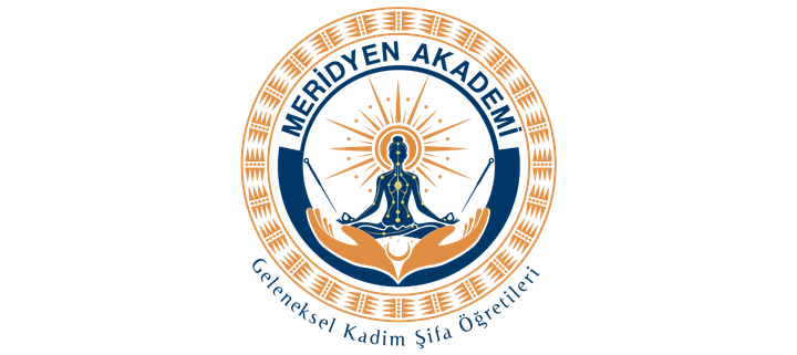 Meridyen Akademi